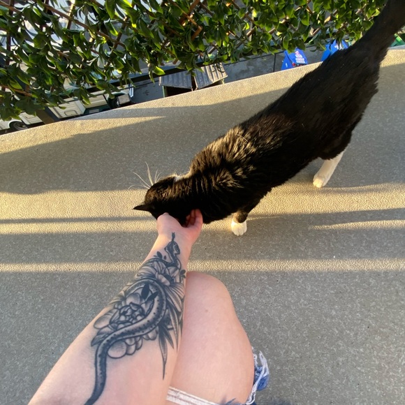 Meet your Posher, Rachael - Picture 2 of 3